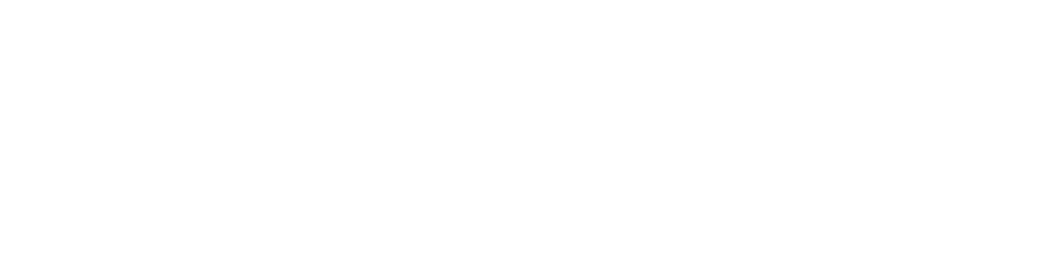 SOLVER SAPIENS